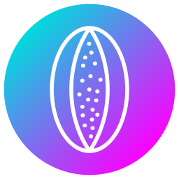 steinmelone icon