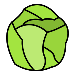 Brussels sprouts icon