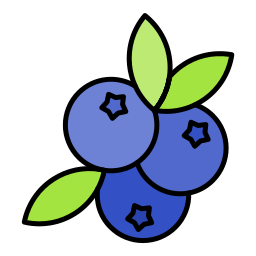 blaubeere icon