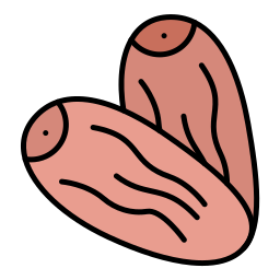 Dates icon