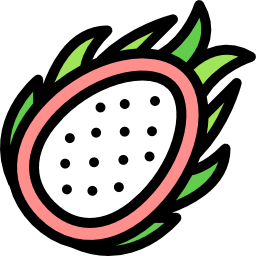 Dragon fruit icon