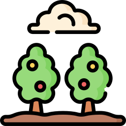 Árbol de frutas icono