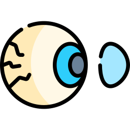 cornea icona