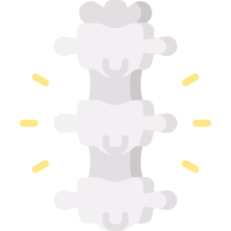 Spine icon