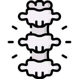 columna vertebral icono