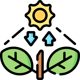 fotosintesi icona