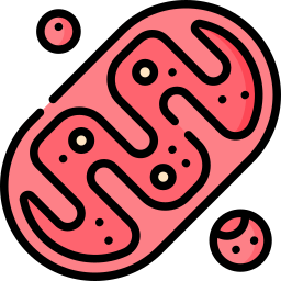 Mitochondria icon