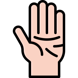 Palm icon