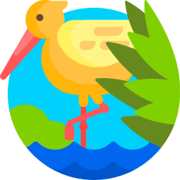 Birds icon