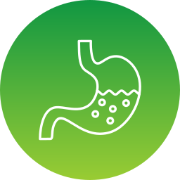 Stomach icon