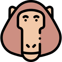 babuino icono