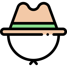 Safari icon