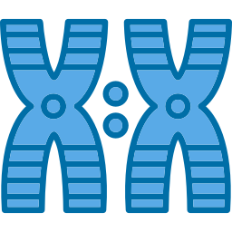 chromosome Icône