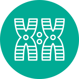 chromosome Icône