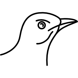 Bird icon