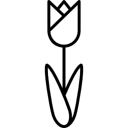цветок иконка