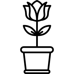 цветок иконка