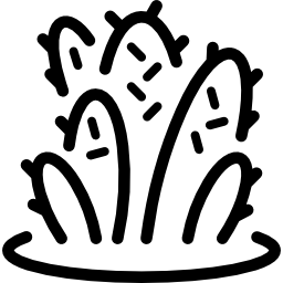 кактус иконка