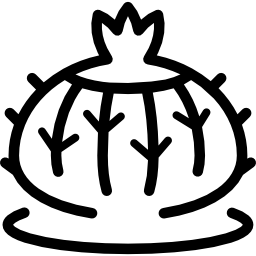 кактус иконка