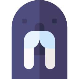 Walrus icon