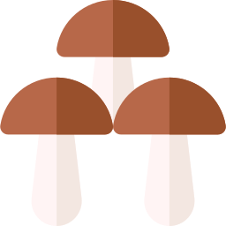 hongos icono