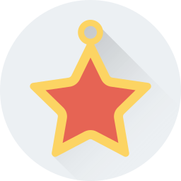 Christmas star icon