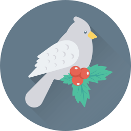 Pigeon icon