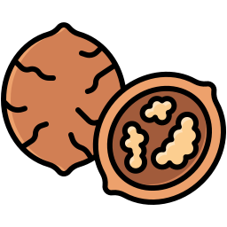 Walnut icon