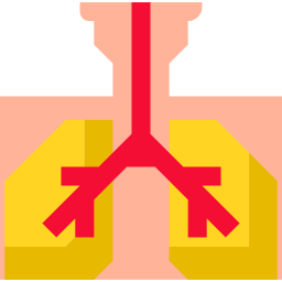 livianos icono