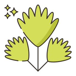 Coriander icon