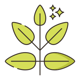 Marjoram icon