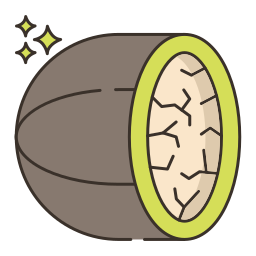 Nutmeg icon