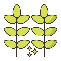 Thyme icon