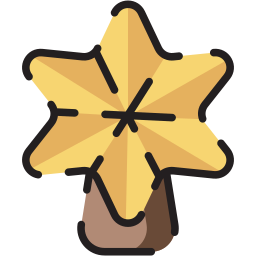 Christmas star icon