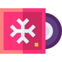 Vinyl icon