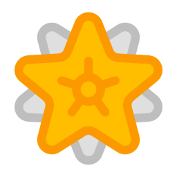 Star icon