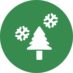 Winter icon