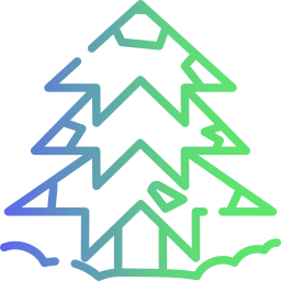 Pine tree icon