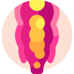肛門 icon