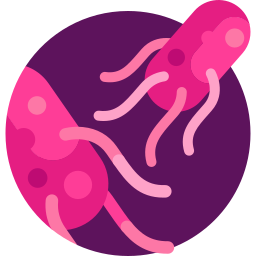 Salmonella typhi icon