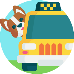 애완 동물 택시 icon