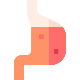 Stomach icon