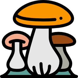 paddestoelen icoon