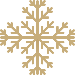 flocon de neige Icône