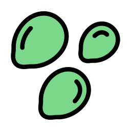 Sesame icon
