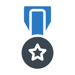 Star Medal icon