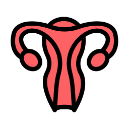 Female organs icon