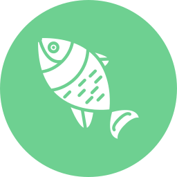 Salmon icon