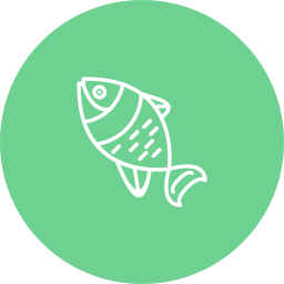 Salmon icon