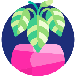 Chinese evergreen icon